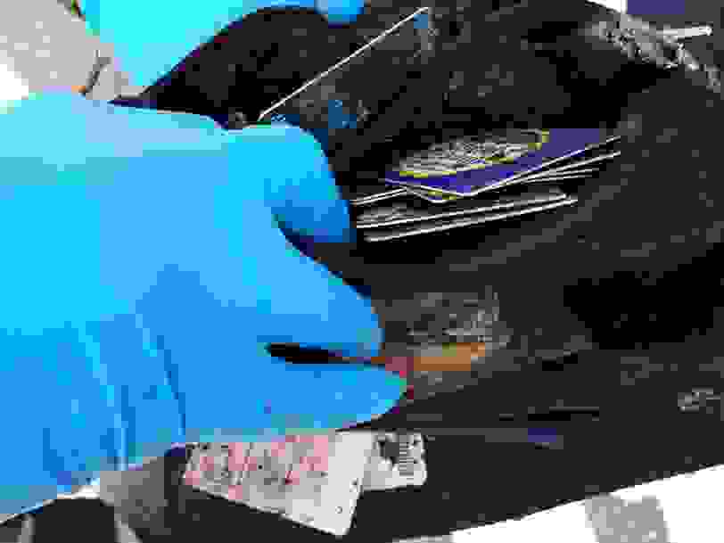 ploggin6.jpg