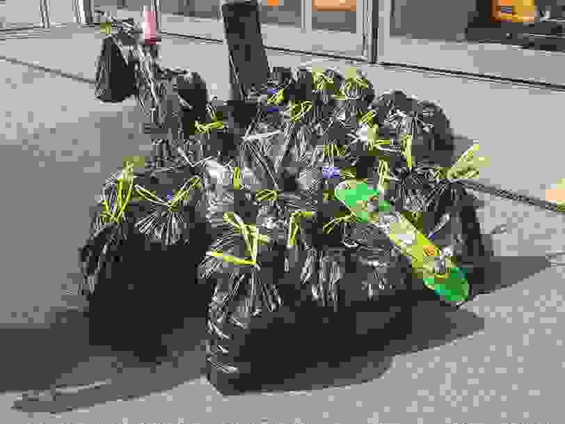 ploggin1.jpg