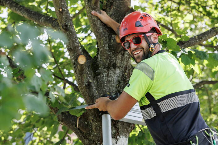 22-07_werkhof_olten_165_klein-706.jpg 22-07_werkhof_olten_165_klein-706.jpg